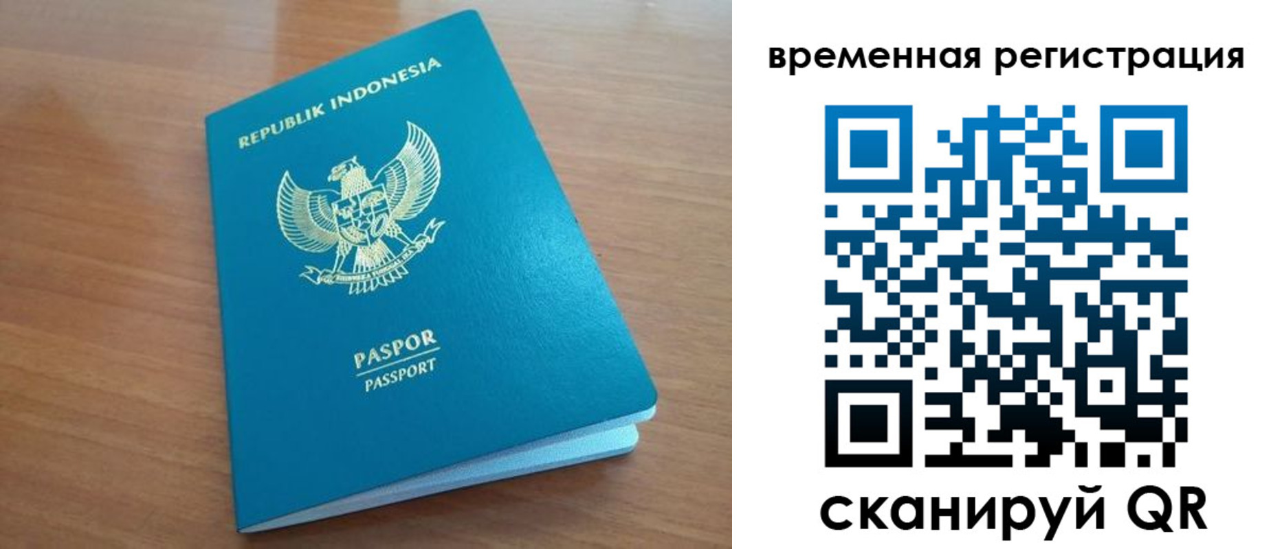 прописка ребенка в Оленегорске